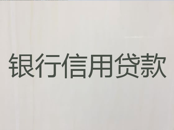 扬州抵押担保贷款-银行信用贷款